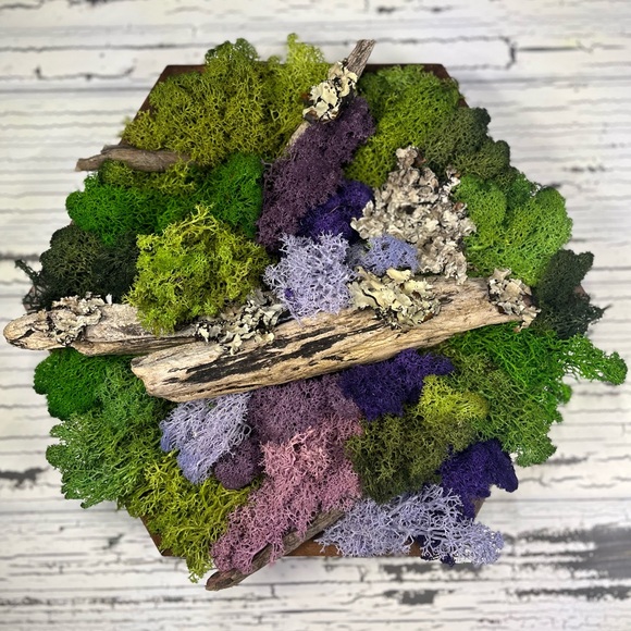 Meet your Posher, Ryleigh - Picture 1 of 1